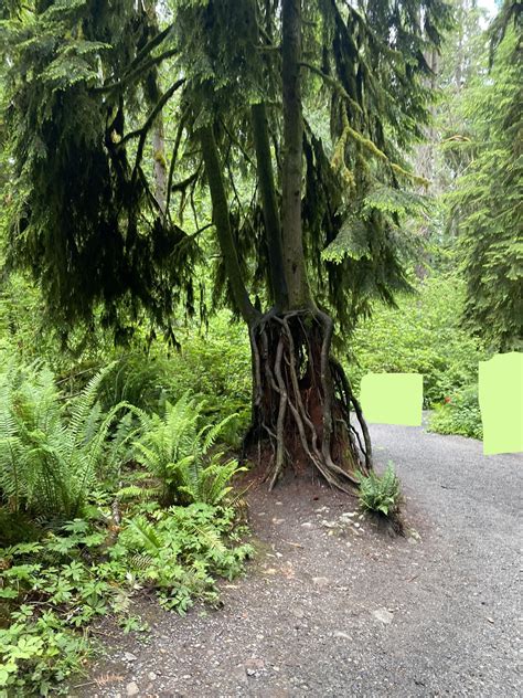 wareddit|living in snoqualmie wa reddit.